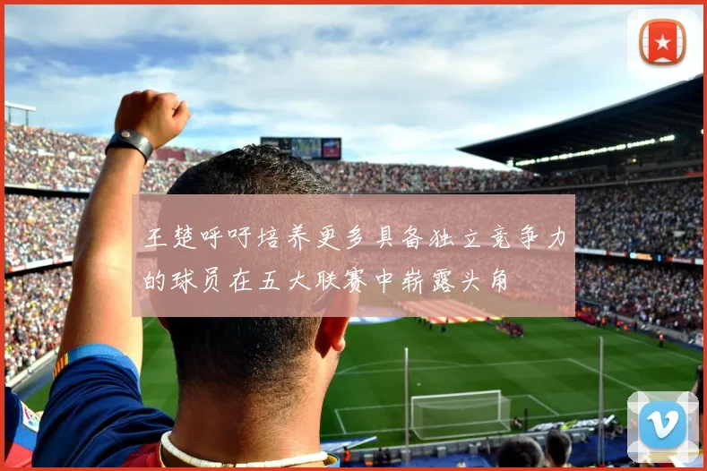 王楚呼吁培养更多具备独立竞争力的球员在五大联赛中崭露头角