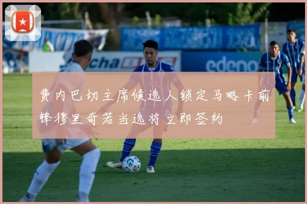 费内巴切主席候选人锁定马略卡前锋穆里奇若当选将立即签约