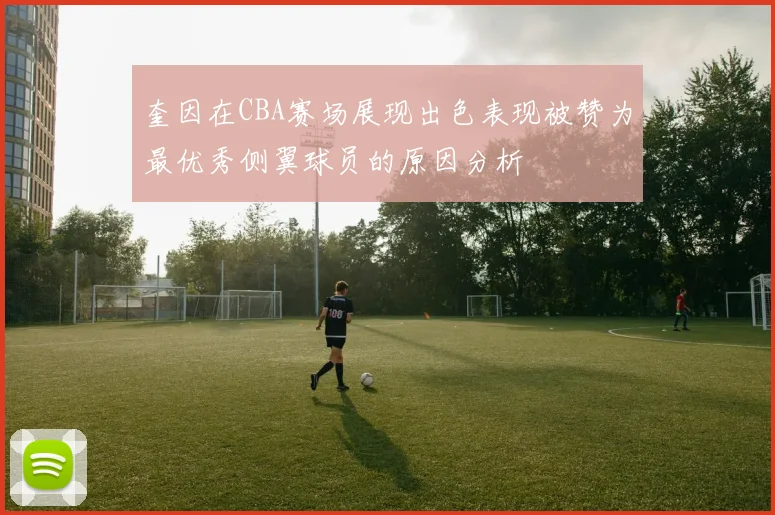 奎因在CBA赛场展现出色表现被赞为最优秀侧翼球员的原因分析