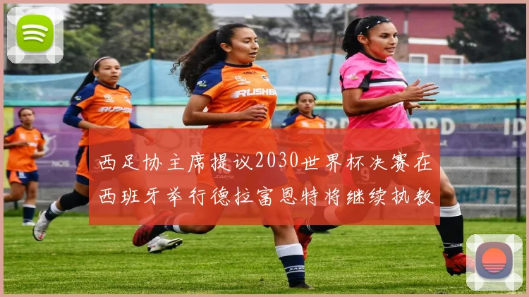 西足协主席提议2030世界杯决赛在西班牙举行德拉富恩特将继续执教国家队